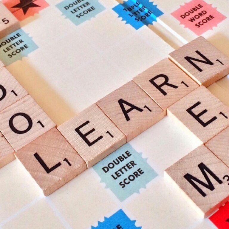 Why Haldwani Schools Choose Opik India ERP